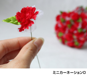 ミニカーネーション