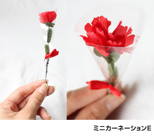 ミニカーネーション