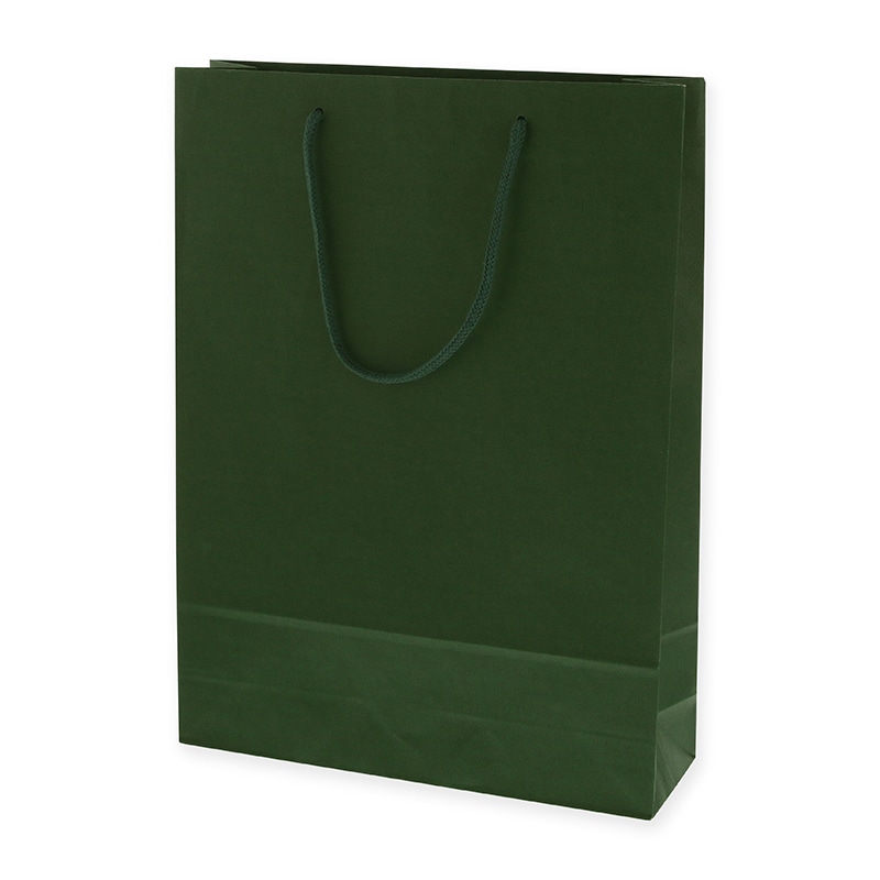 HEIKO 紙袋 カラーチャームバッグ 2才 グリーン 1ケース（10枚×10袋・計100枚）